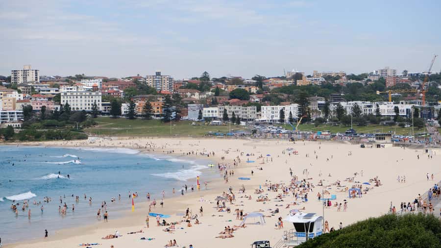 Sydney Harbour to Bondi: Small Group Half–Day Experience - The return ride: Darling Harbour energy, Double Bay charm, and Mrs Macquarie’s Point