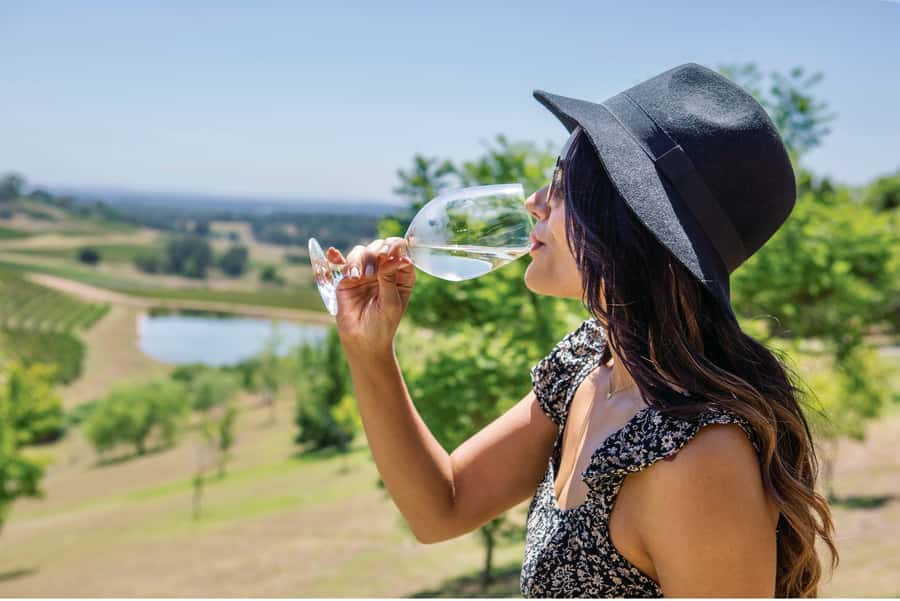 Sydney: Hunter Valley Wineries Day Trip with Food Tastings - Hunter Valley, compressed into 10 hours