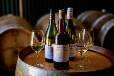Sydney: Hunter Valley Wineries Day Trip with Food Tastings - Pickup in Sydney: fewer hassles, more tasting time