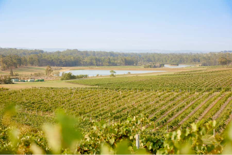 Sydney: Hunter Valley Wineries Day Trip with Food Tastings - Cheese and chocolate tastings: the sweet-salty reset