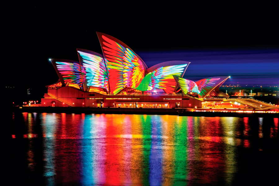 Sydney: Intimate Vivid Harbour Cruise with Canapes - The Canapés and Drink Plan That Actually Works
