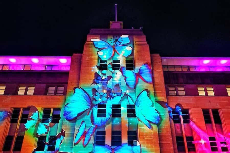 Sydney: Intimate Vivid Harbour Cruise with Canapes - 90 Minutes, Real Timing: What That Duration Feels Like
