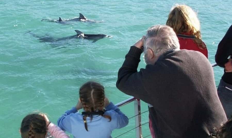 Sydney: Jervis Bay Day Trip with Dolphins, Roos & Beach Time - Key Things I’d Bet You’ll Notice