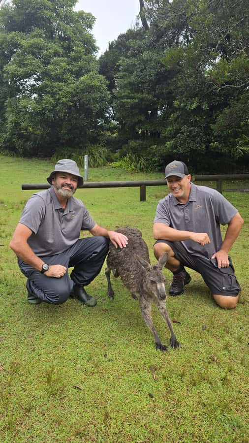 Sydney: Jervis Bay Day Trip with Dolphins, Roos & Beach Time - Sydney to Jervis Bay: The 12-Hour Rhythm You’re Signing Up For