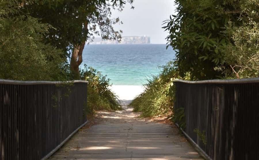 Sydney: Jervis Bay Day Trip with Dolphins, Roos & Beach Time - Jervis Bay Time: Views, Free Air, and Space to Breathe