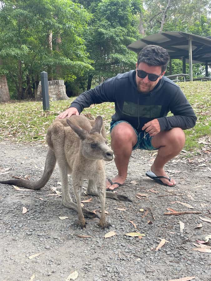 Sydney: Jervis Bay Day Trip with Dolphins, Roos & Beach Time - Timing, Weather, and When Wildlife Shows Up Best