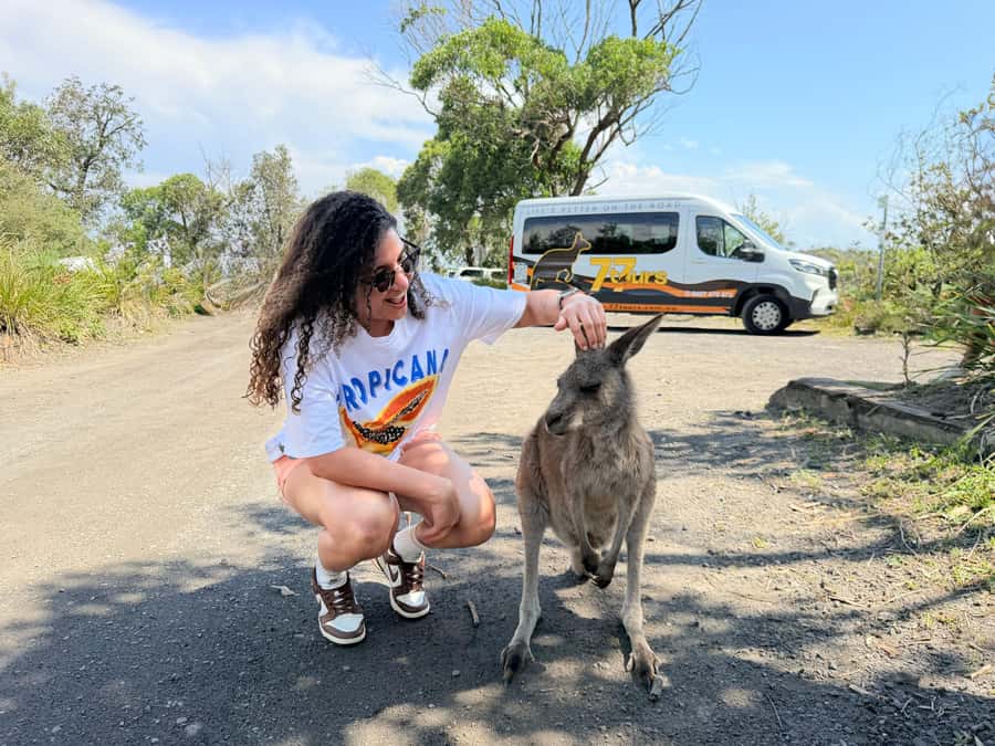 Sydney: Jervis Bay & South Coast Small Group - Why This Jervis Bay and South Coast Tour Feels Worth Your Day