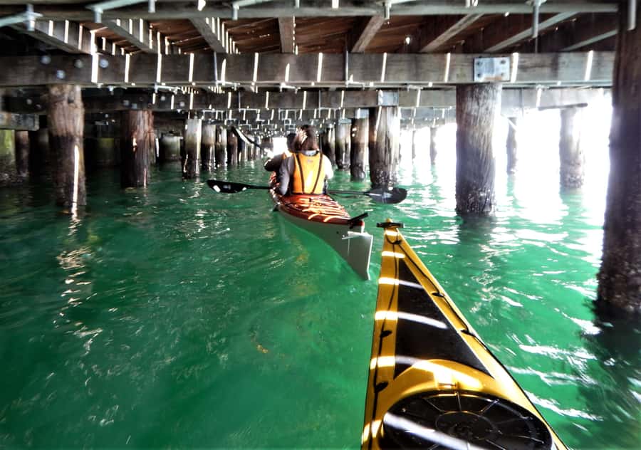 Sydney: Kayak to Goat Island At The Heart of Sydney Harbour - Paddling Back via Darling Harbour: Time Your Shower and Lunch