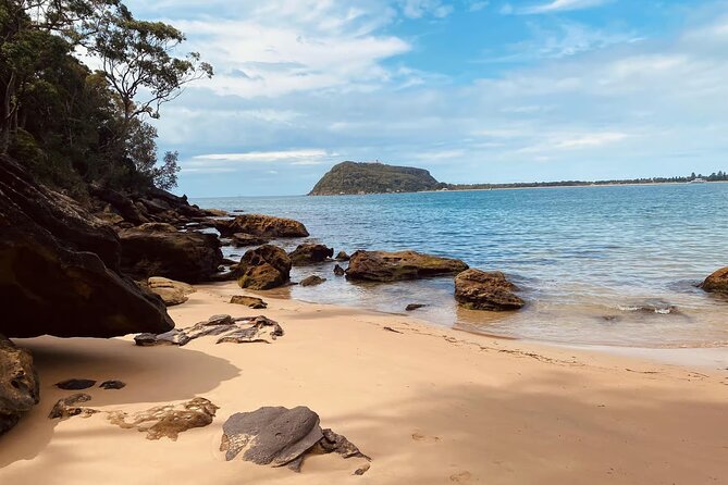 Sydney: Ku-ring-gai Chase National Park with Hike, Swim, Picnic - Ku-ring-gai Chase: A Sydney Escape That’s Mostly About Walking and Water