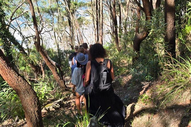 Sydney: Ku-ring-gai Chase National Park with Hike, Swim, Picnic - Pacing and Fitness: What Moderate Really Means on This Day
