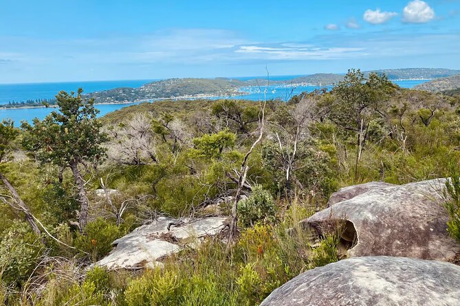 Sydney: Ku-ring-gai Chase National Park with Hike, Swim, Picnic - A Planned Route Through Lookouts, Bush Tracks, and Secluded Coast