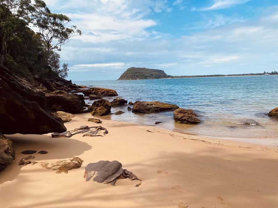 Sydney: Ku-ring-gai National Park with swim and picnic - Getting there from Sydney CBD: pickup, West Head, and first views