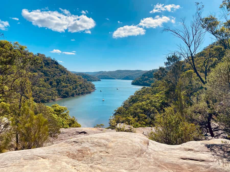 Sydney: Ku-ring-gai National Park with swim and picnic - Picnic time in Ku-ring-gai Chase: local food outdoors (sand or bush)