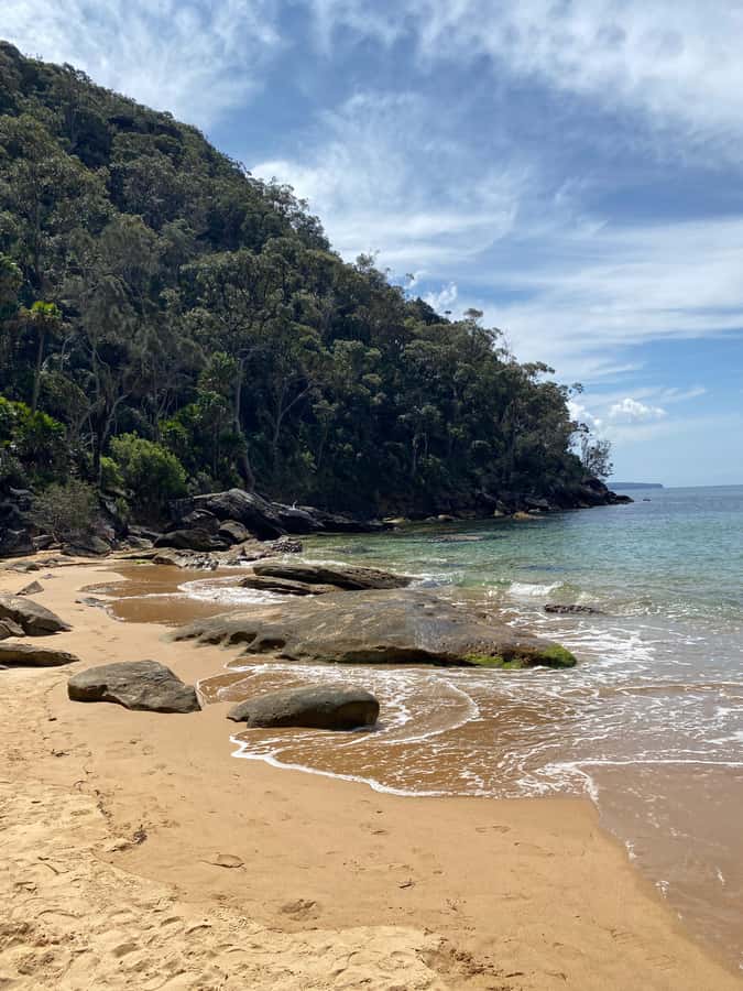 Sydney: Ku-ring-gai National Park with swim and picnic - Hiking + lookouts: what the walk really feels like