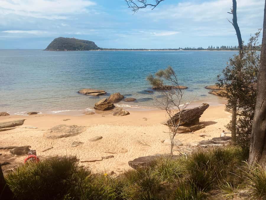Sydney: Ku-ring-gai National Park with swim and picnic - What to bring (so your day goes smoothly)