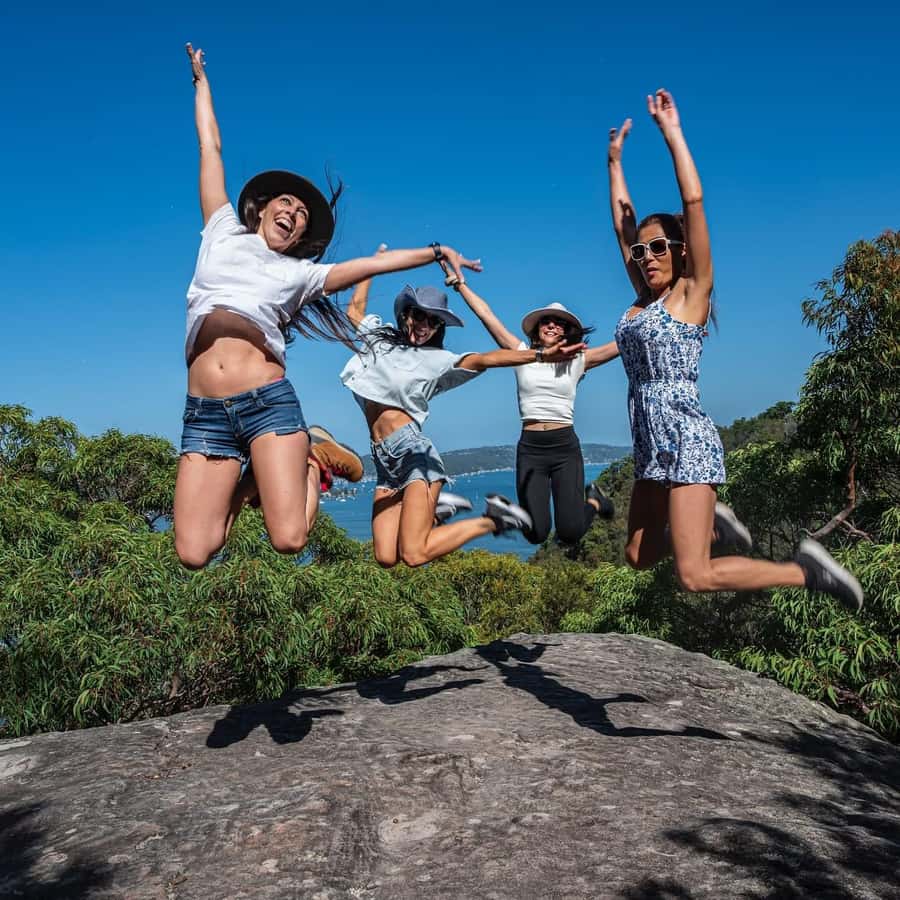 Sydney: Ku-ring-gai National Park with swim and picnic - The guided cultural stop: Aboriginal rock engravings you can pause for