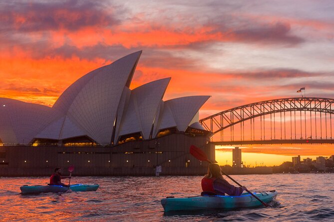 Sydney LED Lit Kayak Tour of the Opera House and Bridge - Where to Meet: 1B New Beach Road, Darling Point