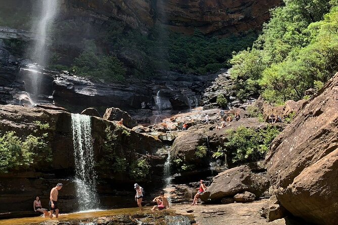 Sydney: Luxury Blue Mountains Adventure as a Small Group Day Tour - A luxury-style Blue Mountains day with a small group