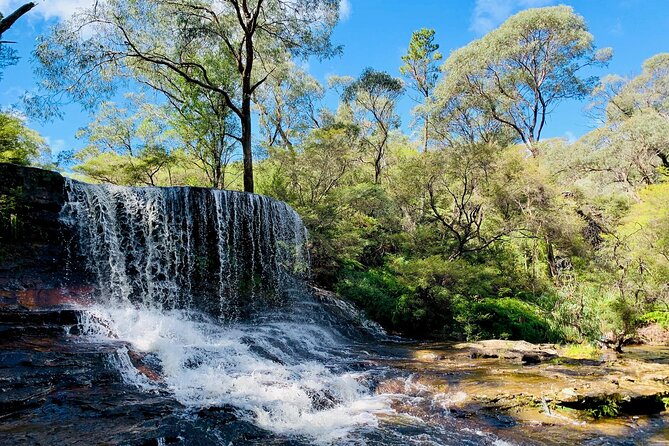 Sydney: Luxury Blue Mountains Adventure as a Small Group Day Tour - Cliff Drive and Cahill’s Lookout for big plateau views