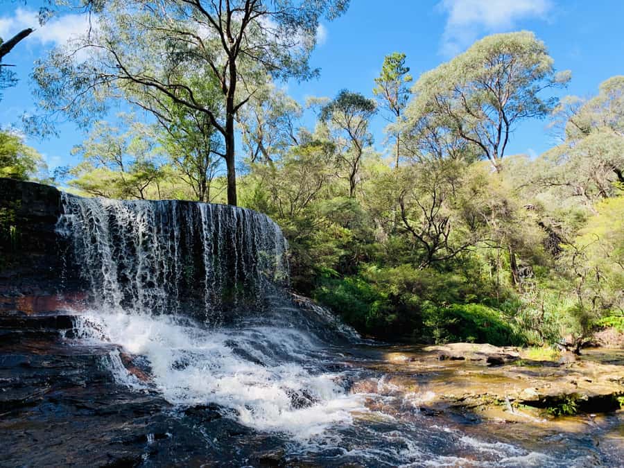 Sydney: Luxury Blue Mountains Adventure with Wentworth Falls - A Luxury Van That Actually Helps You Enjoy the Day