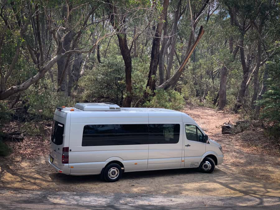 Sydney: Luxury Blue Mountains Adventure with Wentworth Falls - Who Should Book (and Who Should Skip It)