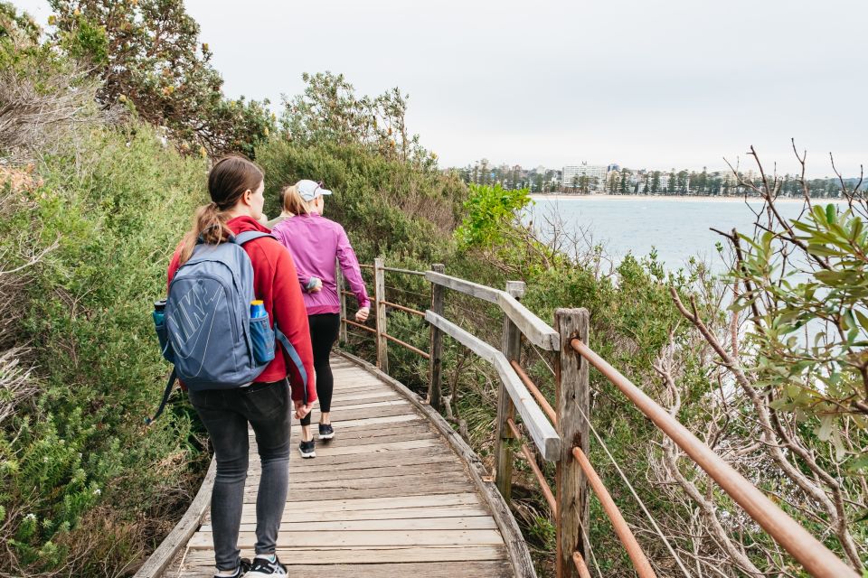 Sydney: Manly and Shelly Beach Snorkeling Tour - Price and value: $77 for gear, reserve snorkeling, and real local context