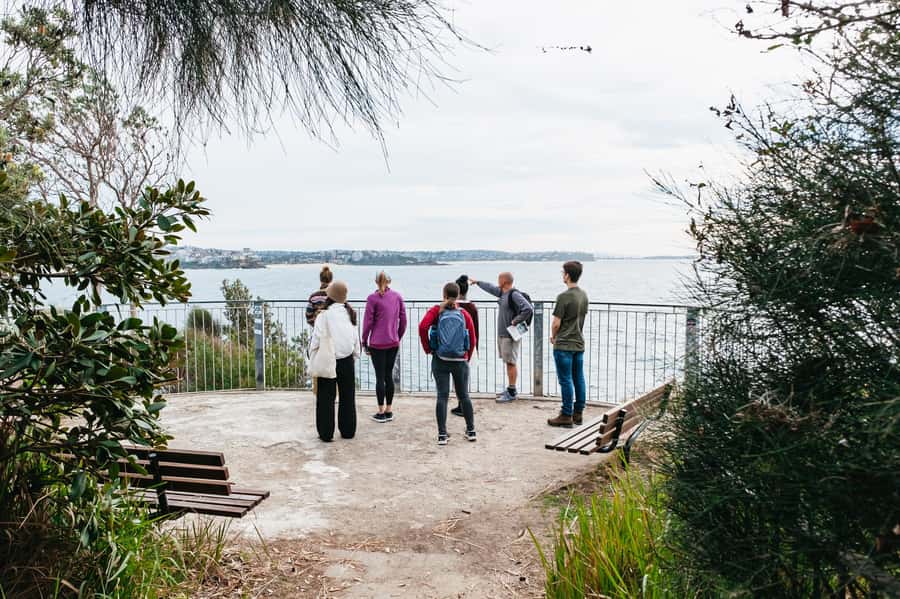 Sydney: Manly and Shelly Beach Snorkeling Tour - Manly meets real reef time: why this tour feels different