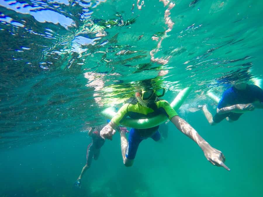 Sydney: Manly and Shelly Beach Snorkeling Tour - The headland nature walk: 800 meters of context with big views