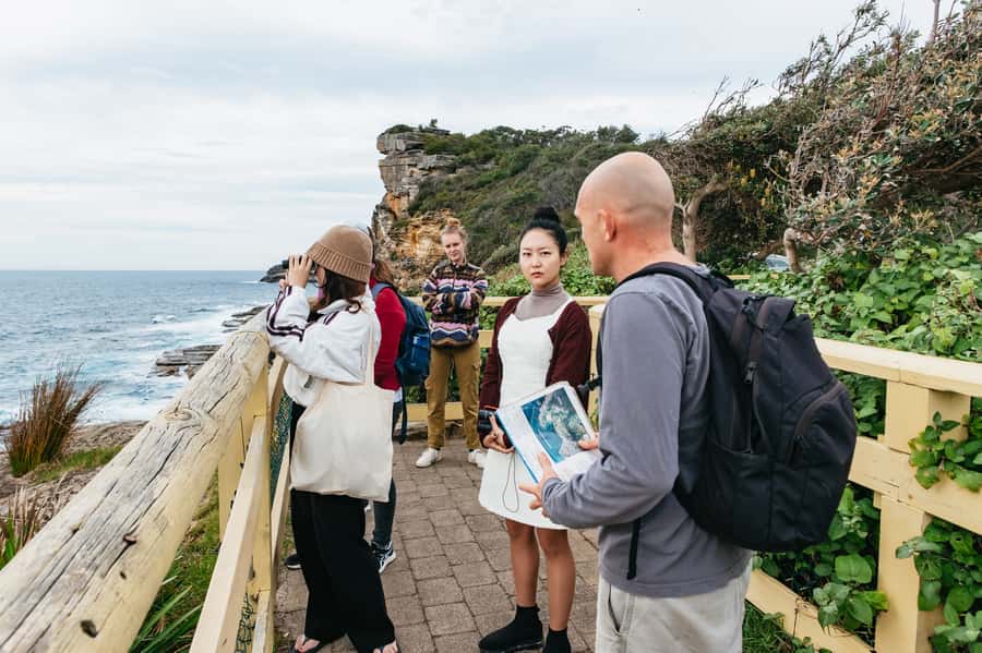 Sydney: Manly and Shelly Beach Snorkeling Tour - Cabbage Tree Bay Aquatic Reserve: the protected place to snorkel off Manly