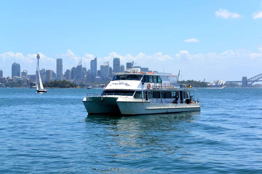Sydney: Morning Sightseeing Bus to Bondi with Lunch Cruise - The Rocks and the early city drive: a fast intro with real atmosphere