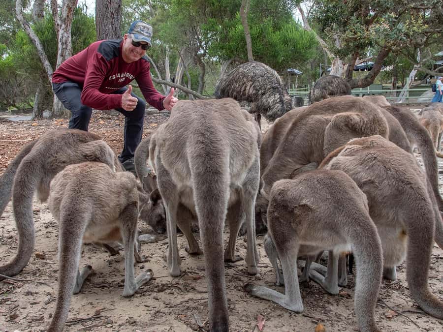 Sydney: Nature and Wildlife - Australia in One Day - Wine, beer, and chocolate: what’s included vs what’s extra