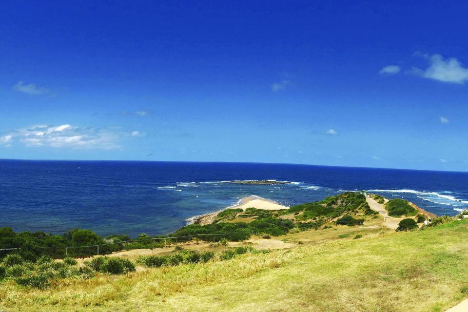 Sydney: Northern Beaches and Ku-ring-gai National Park Tour - Guide style and group size: why it feels different than a big bus