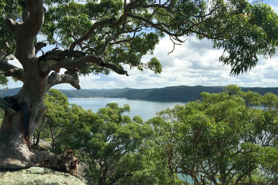 Sydney: Northern Beaches and Ku-ring-gai National Park Tour - Sydney Harbour Bridge drive: quick eye candy before the green stuff