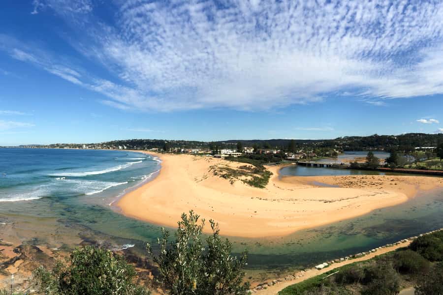 Sydney: Northern Beaches and Ku-ring-gai National Park Tour - Narrabeen surfing viewpoint and Long Reef chances for whales