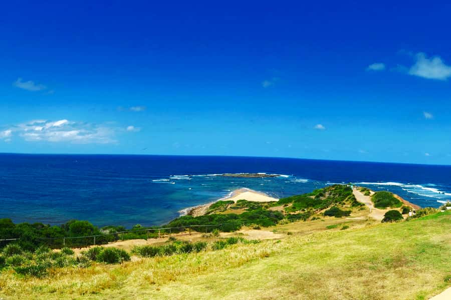 Sydney: Northern Beaches and Ku-ring-gai National Park Tour - Curl Curl coastal walk and Freshwater Beach surfing origins