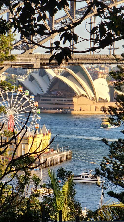 Sydney: Opera & Harbour Bridge Small-Group Kayak Tour - Why Kayaking Past the Opera House Feels Like Sydney at Full Volume