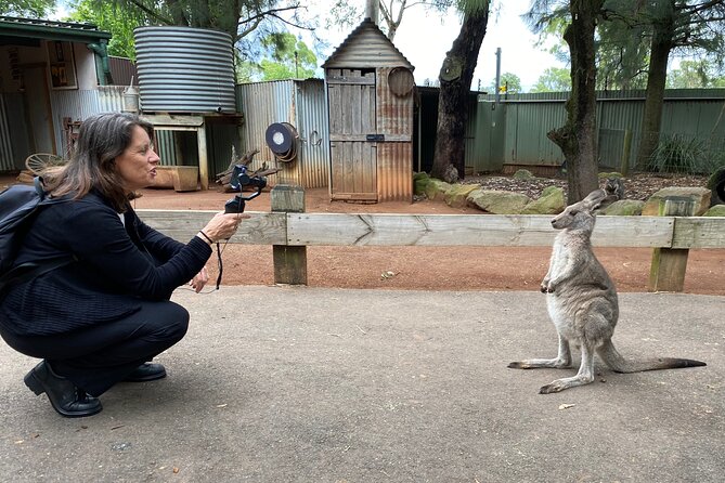 Sydney Opera House and Aussie Animals Private Tour - Key Highlights (Worth Your Attention)