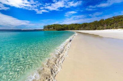 Sydney: Port Stephens Day Trip with Dolphin Cruise or Hike - Getting started: Sydney Central pickup and the early-morning rhythm