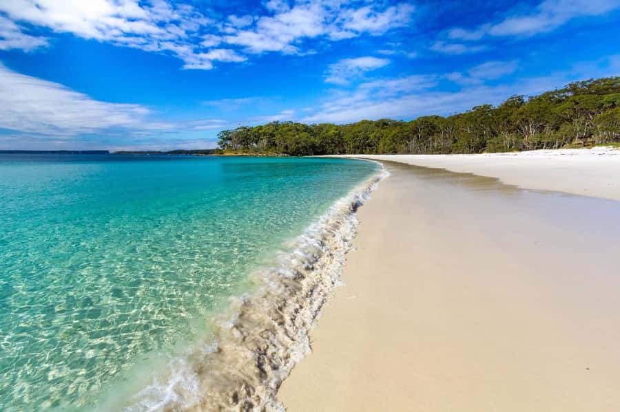 Sydney: Port Stephens Day Trip with Dolphin Cruise or Hike - Getting started: Sydney Central pickup and the early-morning rhythm