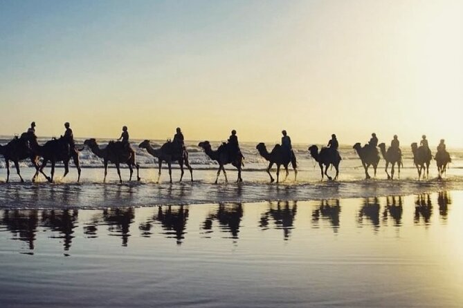 Sydney: Port Stephens Sandboarding, Dunes & Dolphin Cruise option - Mount Tomaree summit option: guided hike with big 360-degree payoff