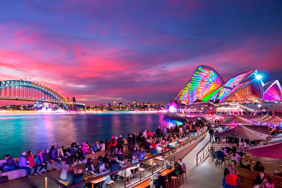 Sydney: Premium Catamaran Vivid Cruise with Welcome Drink - Key things I’d focus on before you go