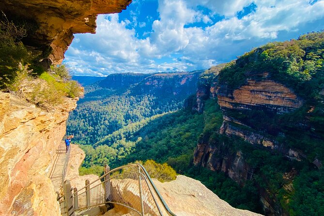 Sydney: PRIVATE Blue Mountains, Wildlife & Cruise Luxe Tour (10h) - A 10-Hour Blue Mountains Plan That Doesn’t Waste Your Morning