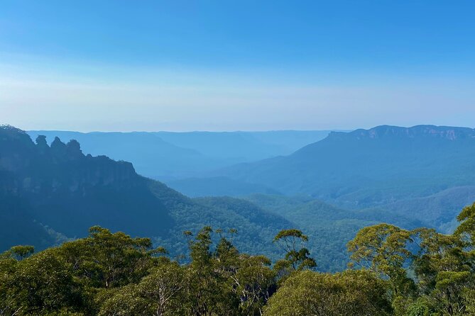 Sydney: PRIVATE Blue Mountains, Wildlife & Cruise Luxe Tour (10h) - Wentworth Falls Lookout: Waterfall Views Plus Walk Options