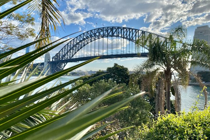 Sydney: PRIVATE City Highlights & Ocean Front Luxe Tour (4h) - The Gap Lookout: turning neighborhoods into a coast-hugging story