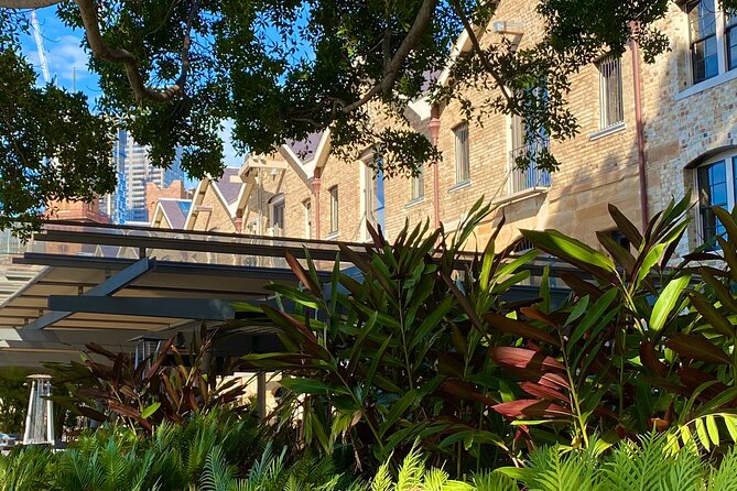 Sydney: PRIVATE City Highlights & Ocean Front Luxe Tour (4h) - Darling Harbour and Paddington: restored terraces and modern waterfront energy