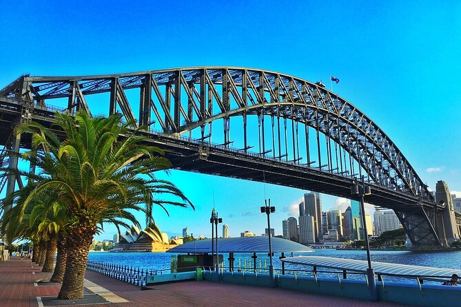 Sydney Private Half-Day Cycling Exploration - Starting at Livelo Sydney: your bike fit and first route nerves