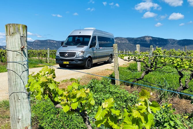 Sydney: PRIVATE Hunter Valley Wine Tasting Luxe Tour (10h) - Lunch Reset: One-Course à la Carte With a Beverage