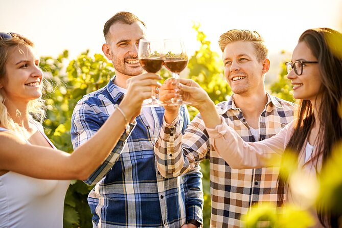 Sydney: PRIVATE Hunter Valley Wine Tasting Luxe Tour (10h) - Private Luxury Transportation and the Driver Guide Touch