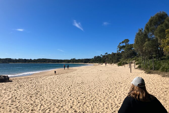 Sydney Private Tour Inc The Royal National Park and Symbio Zoo - Symbio Wildlife Park: koalas and kangaroos without the huge-scale vibe