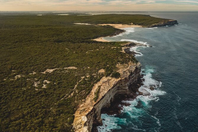 Sydney: Royal National Park Day Trip with Picnic and Swim - Key highlights to know before you go